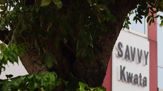 Savvy_Kwata